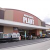 優待株・・・PLANT（7646）を買いました