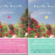 moon2です。キャンディ　キャンディ　小説 小説 キャンディ・キャンディ (fukkan.com) | 名木田 恵子 |本