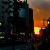 新宿の夕日と
