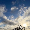 太陽光が恋しいと嬉しい