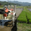 田植え 初日