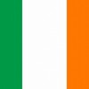 アイルランドで結婚法発効　初の同性婚
