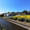 河岸段丘と崖下の湧水を愉しむ～日野・前編～