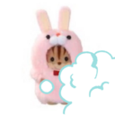 WASABIの女になりたい