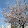 忙しなく過ぎる時　研ぎ澄まされる一瞬　夏の音は遠く
