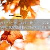 ゆったりと過ごす秋に聴きたい音楽！過ごしやすい気候は運動も食欲も音楽も楽しもう