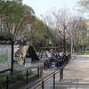 新宿中央公園の桜　「EOSKissM＋EF-M22mm」で撮影　都庁周りは散歩にも良いです。