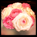 MY i shoku juu STORY!