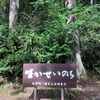 高野山奥之院 生身供