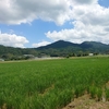 もうしばらくの辛抱。