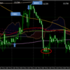  FXいいだっち手法　11/26～11/30振り返り