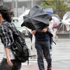 台風の時の過ごし方