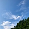 梅雨明け　二日目