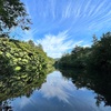 【絶景の水鏡！軽井沢】雲場池で気持ち良く朝散歩！駐車場は！？【デート・旅行】