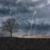 雷おこしならぬ雷あられを目撃する