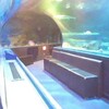 グアムに行ってきた！繁華街に深夜までやってる水族館あるよって話