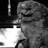 ご近所神社の狛犬くん - a guardian lion-dog statue