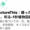 Picture this活用