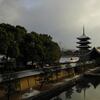 冬の東寺　お写ンぽ