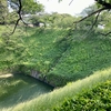 千鳥ヶ淵・牛ヶ淵（東京都千代田）