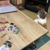 アクリルキーホルダー。