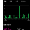 30km走で5月を〆ました