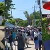 ●毎年恒例の「大盆栽祭り」が始まってました。　　　　　●「するが」で買い出し