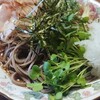 薬味蕎麦