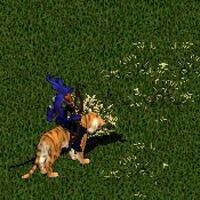 ウルティマオンライン関連の大チェッカー