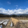 2022/01/26 水曜日　暖かい一日