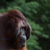 雨上がりの動物園