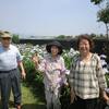 花しのぶ　令和1年7月ブログ