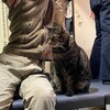 操体法東京研究会の新年