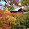 【京都】『東福寺』に行ってきました。 京都紅葉 そうだ京都行こう 女子旅