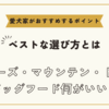 バーニーズ・マウンテン・ドッグのドッグフード何がいい？ベストな選び方と愛犬家がおすすめするポイント