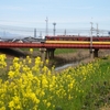 毎日京阪電車の特急を見に行っていた・・・子育ての思い出