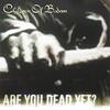 CHILDREN OF BODOM（チルドレン・オブ・ボドム）5th アルバム『Are You Dead Yet?』レビュー