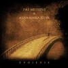 Upojenie〜Pat Metheny & Anna Maria Jopek