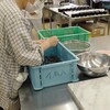ブルーベリーの選別作業、パンの仕込みなど