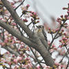 3月28日(月曜日)