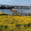 竜桜公園～仏生山公園～法然寺