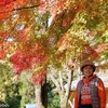 日本　本巣市の淡墨公園の紅葉