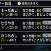 【ドラクエ10】私が豆に行っていること【毎日気合伝授するために】