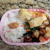 冷凍春巻きのお弁当