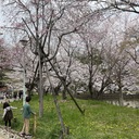 お酒のない人生（禁酒日記）