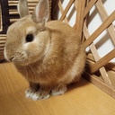 うさるーぱー’s blog