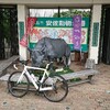 ロード初乗りの人と安佐動物公園アタック🚴