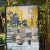 根津美術館「燕子花図屏風の茶会」15日までです。