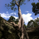 投資と育児とトレーニング