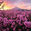謹賀新年🪭親族と世間は狭いって話